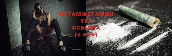 гидра Вяземский