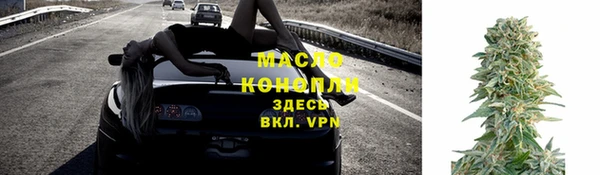 гидра Вяземский
