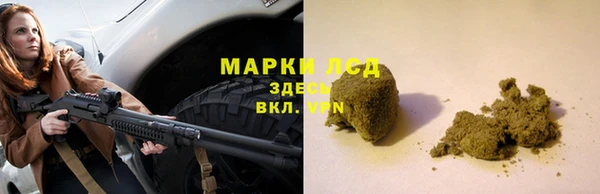 гидра Вяземский
