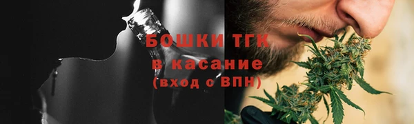 гидра Вяземский