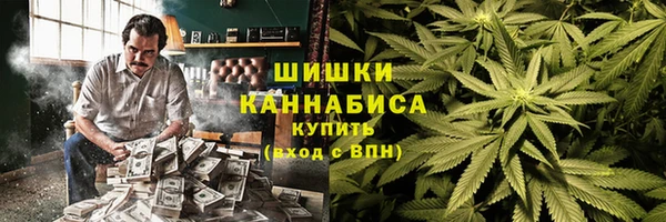 гидра Вяземский