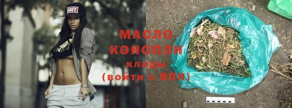 гидра Вяземский